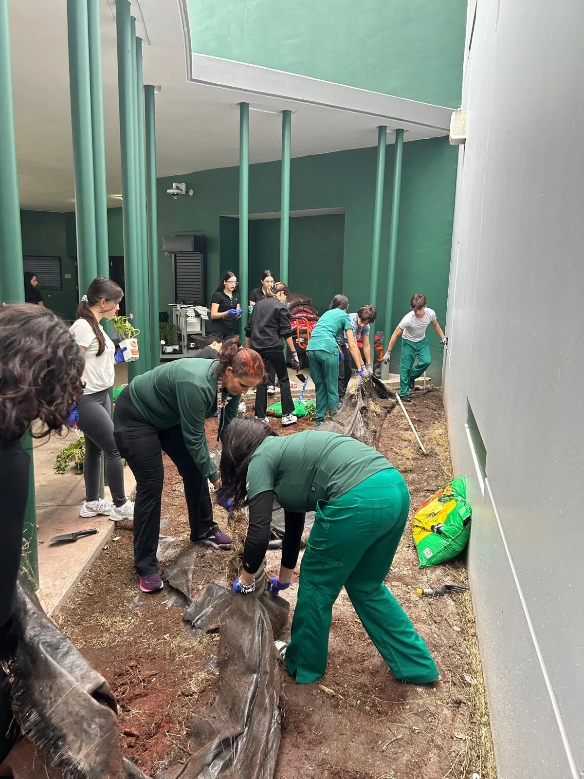 Blissful Hands Activities